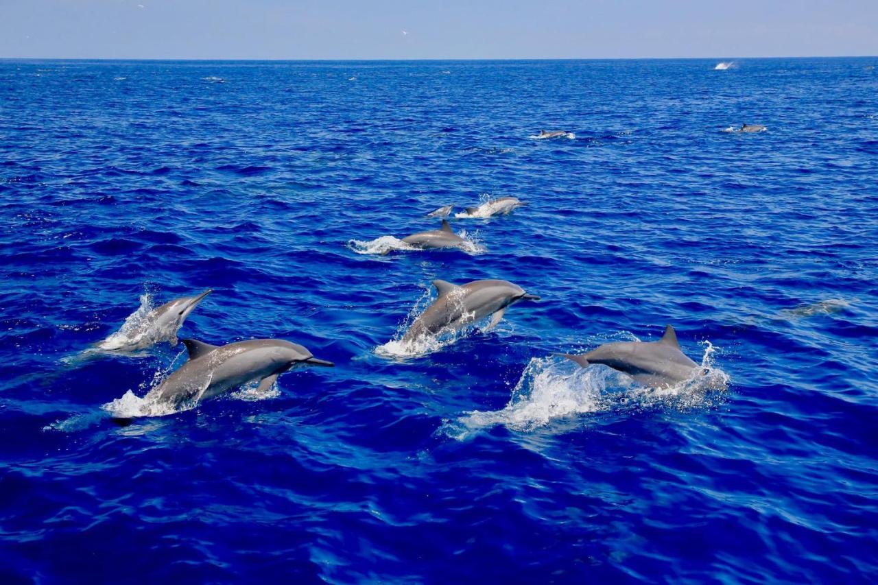 Отель Blue Ocean Cabana Тринкомали Экстерьер фото